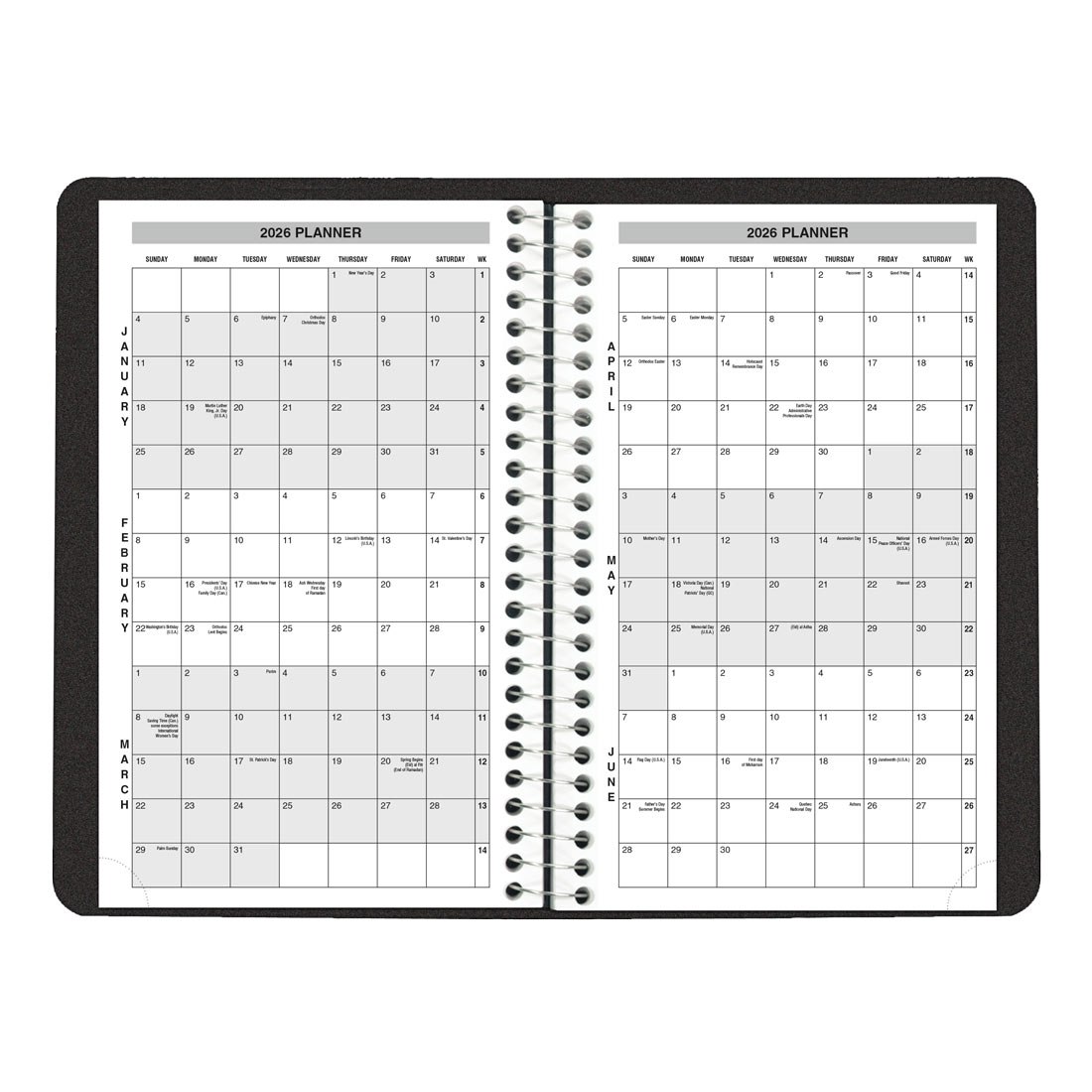 Brownline Essential Daily Planner, Black, 2026 C2504.81T-26