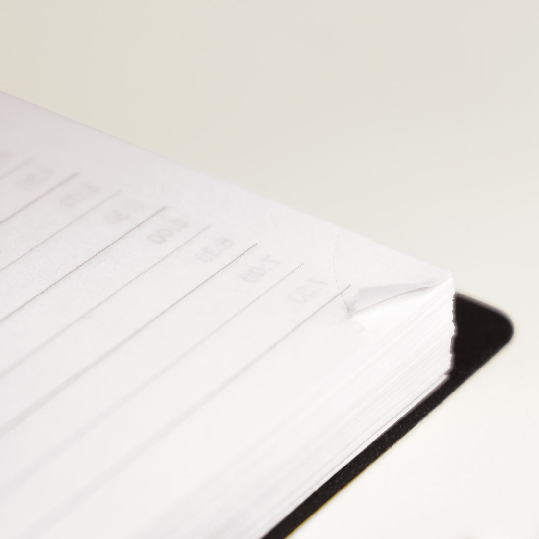 Brownline Essential Daily Planner, Black, 2026 C2504.81T-26