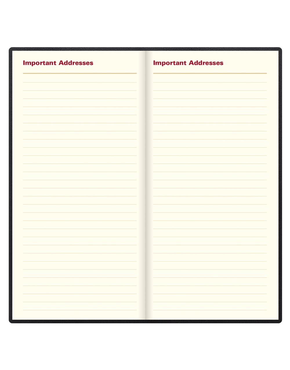 Letts of London Belgravia Slim Landscape Week to View Leather Diary with Appointments and Planners 2026 Black 26-C33SBK #color_black