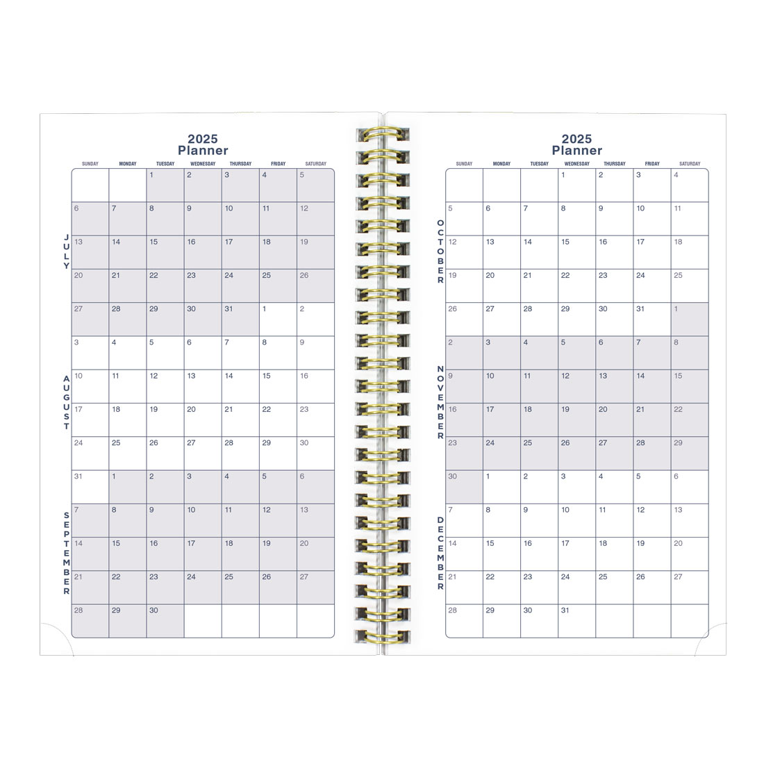 Academic Weekly Planner, Marble, 2025-2026, Blueline CA114PI-26 #color_marble-green