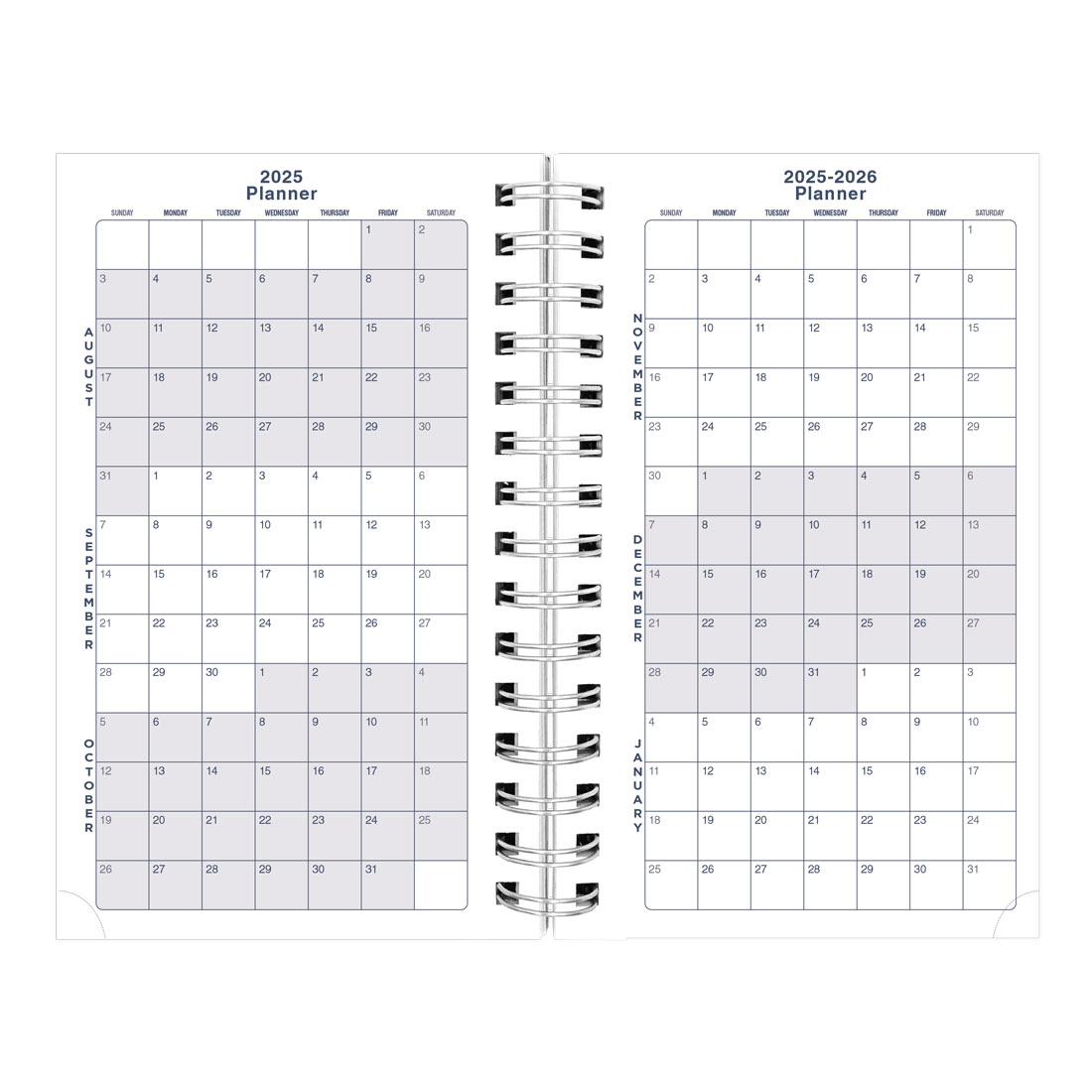 Academic Daily Planner, Under the Sea, 2025-2026, Blueline CA214PH-26 #color_waves