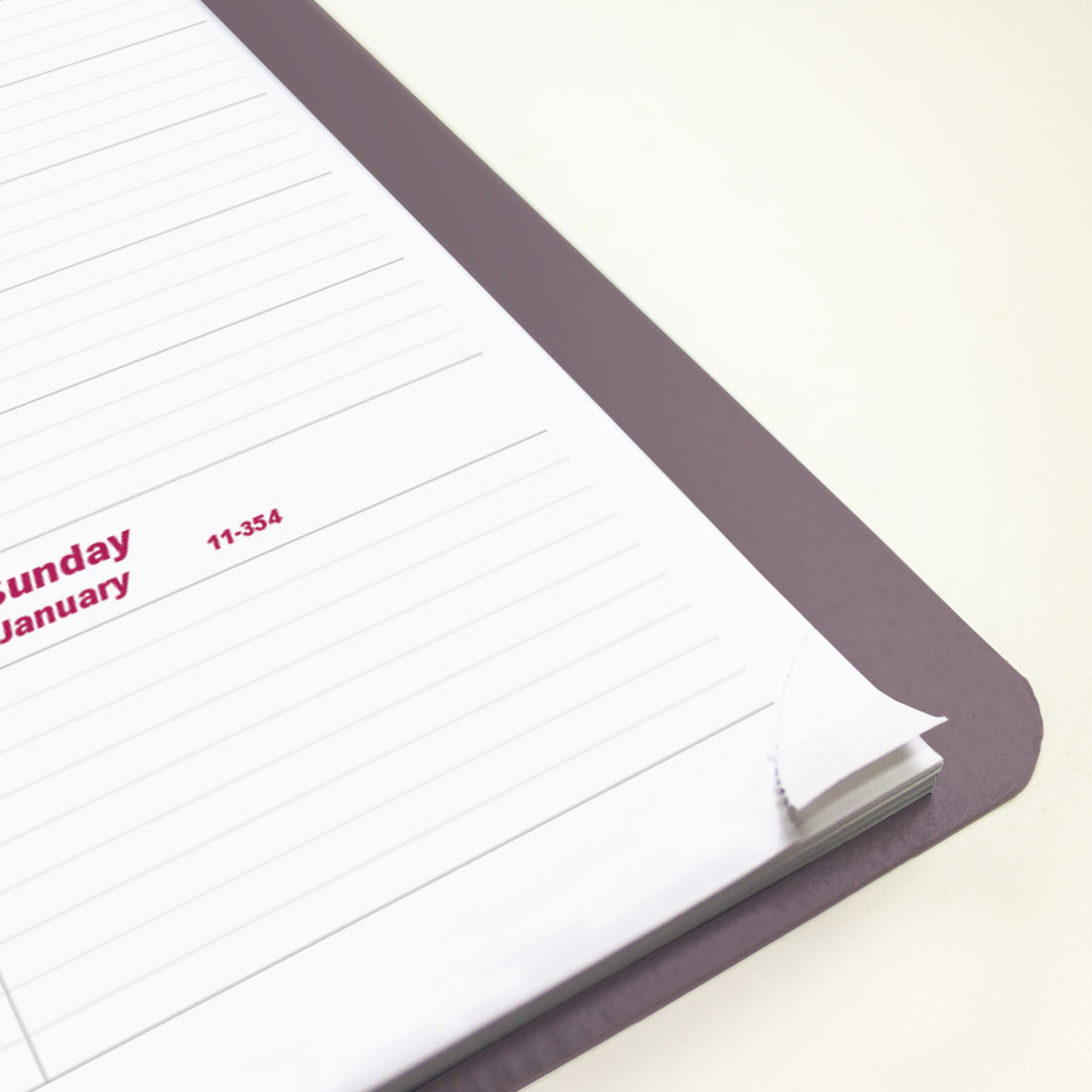 Brownline Mountain Weekly Appointment Book, 2026 CB950G.04-26 #color_canyon