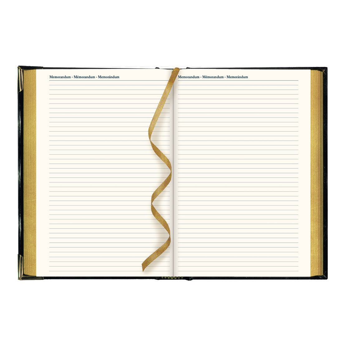 Brownline Executive Daily Planner, Black, 2026 CBE504.BLK-26
