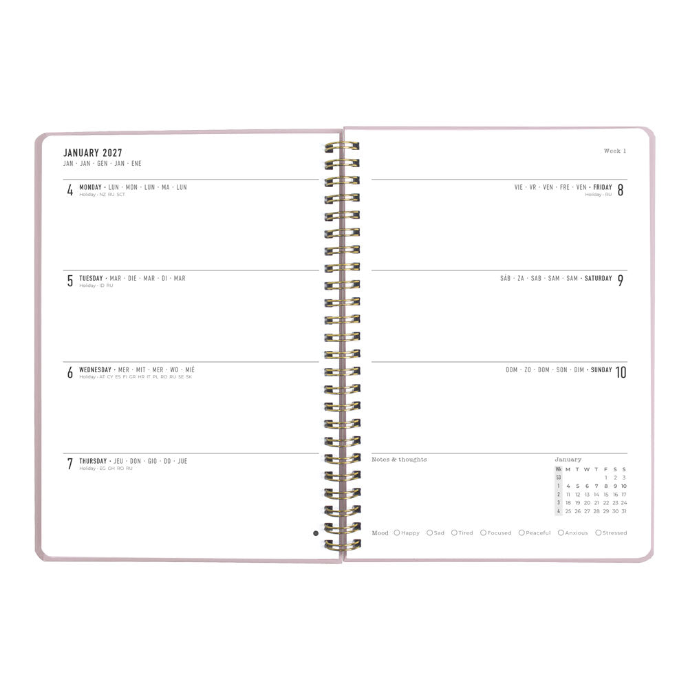 Letts A5 Weekly Planner, Celebrate, 2027 Rose 27-082185#color_rose
