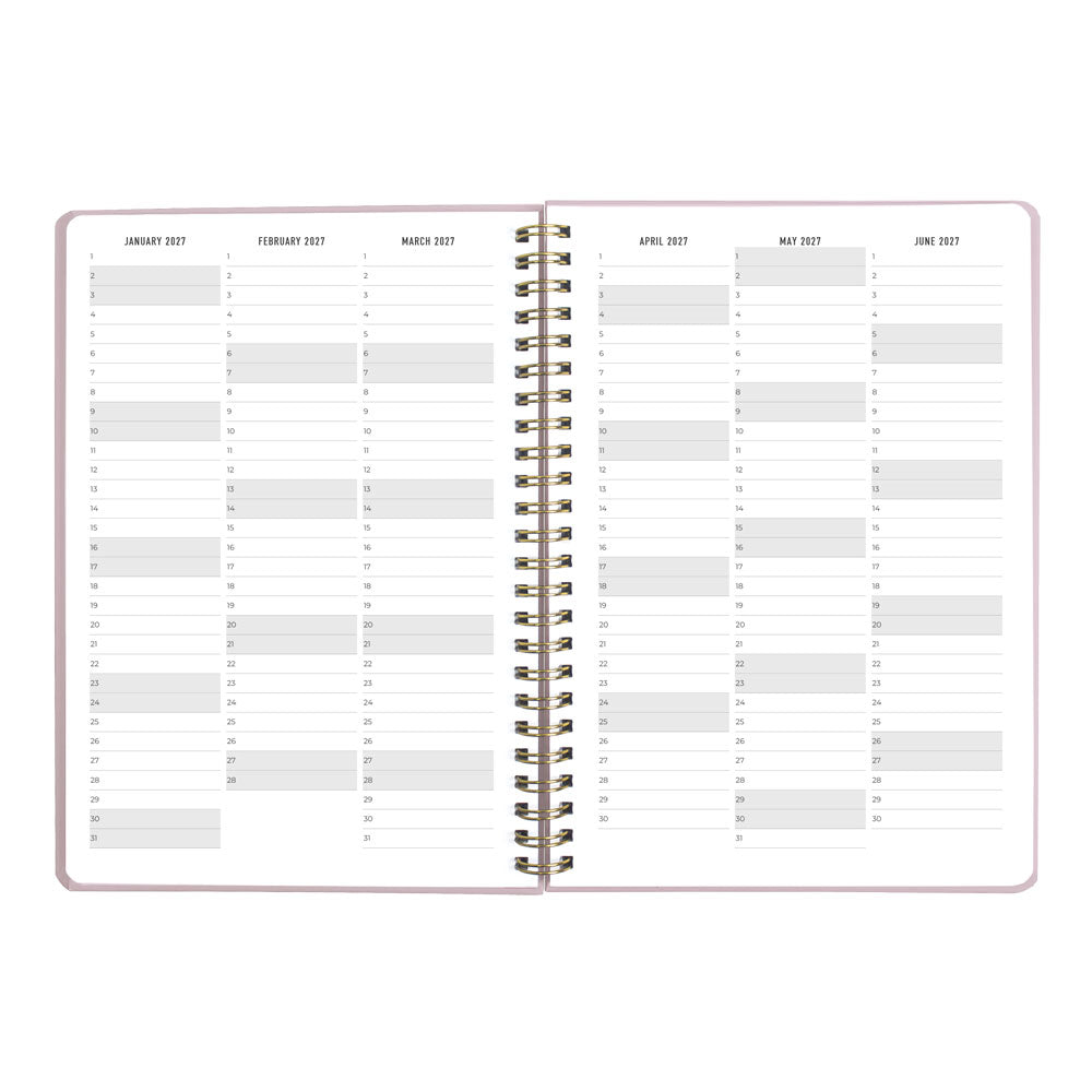 Letts A5 Weekly Planner, Celebrate, 2027 Rose 27-082185#color_rose