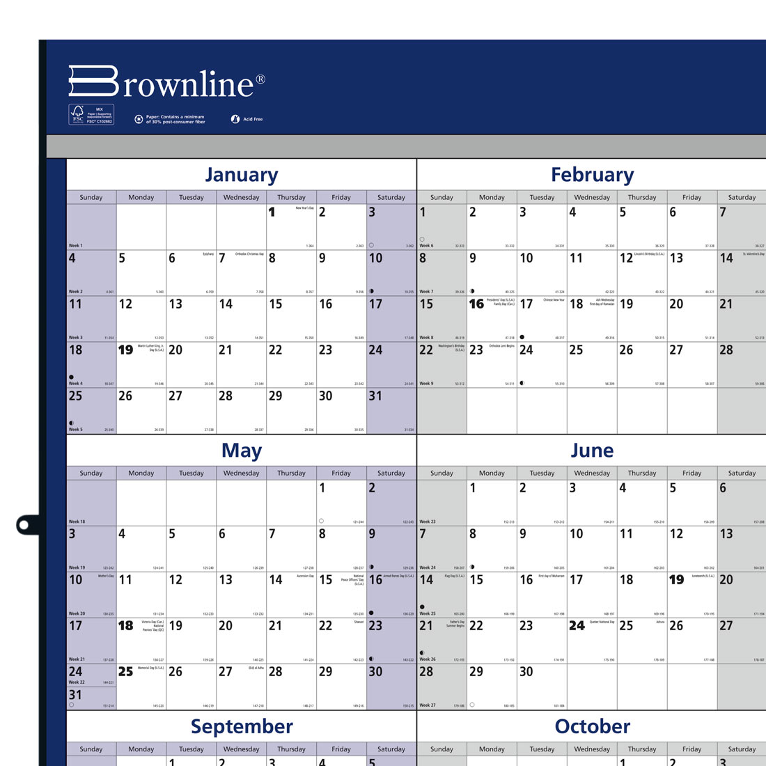 Brownline Laminated Yearly Wall Planner, Erasable - Reversible, 2026 C172214-26
