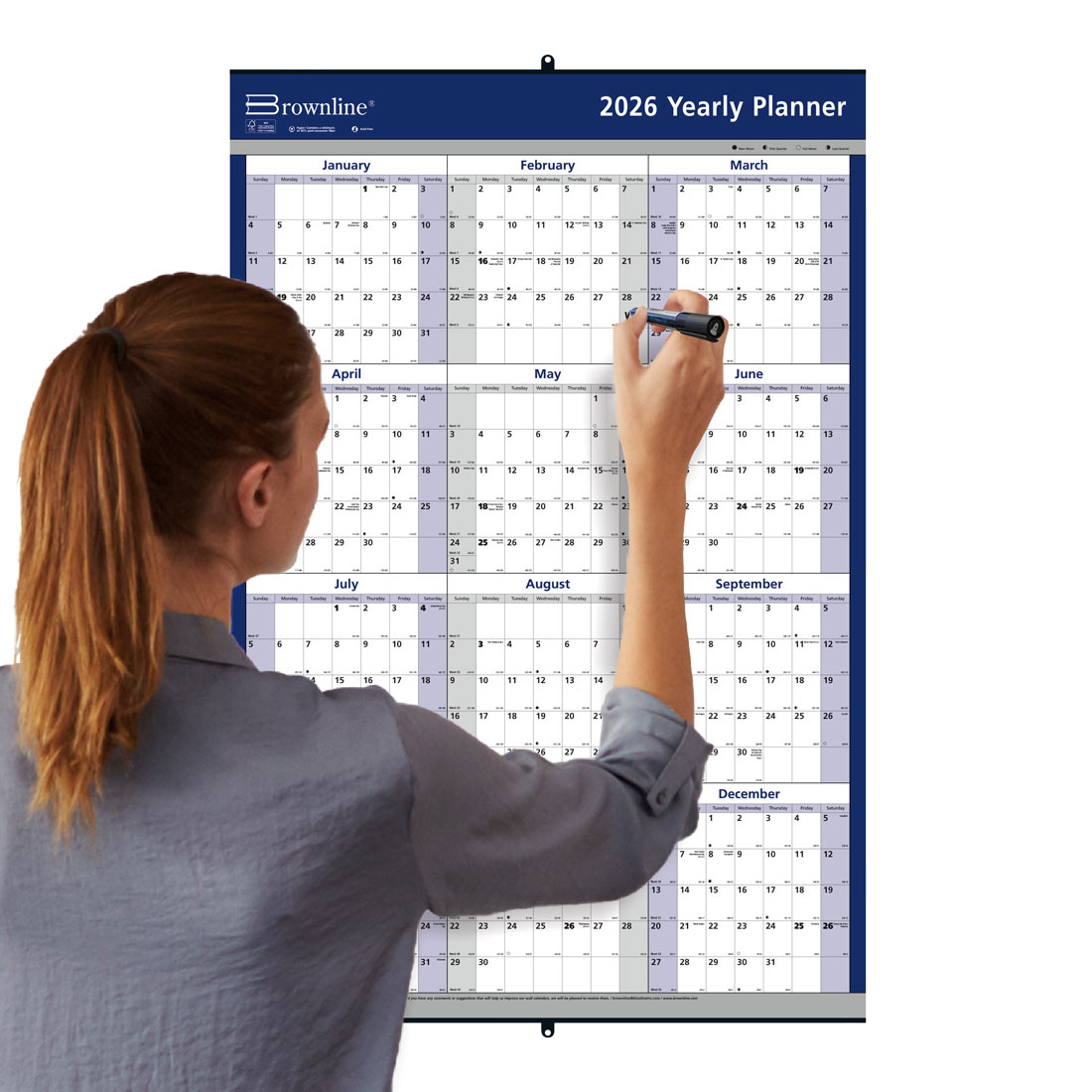 Brownline Laminated Yearly Wall Planner, Erasable - Reversible, 2026 C172214-26