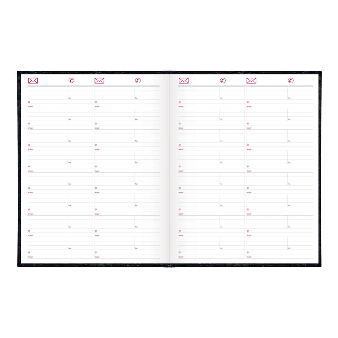 Daily Planner 2025, English (C550.BLK25, C550.RED25) Brownline Brownline USA