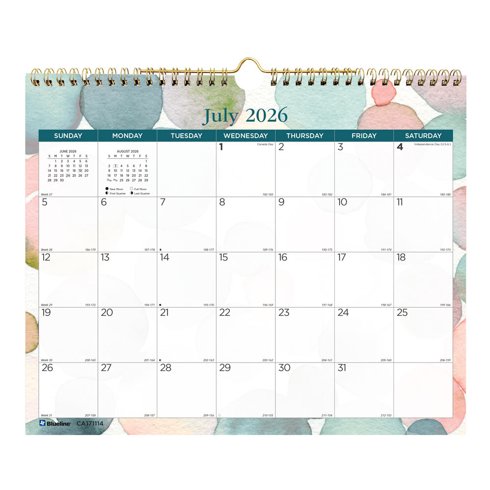 Academic Monthly Small Wall Calendar 2027, English, Splash (CA171114-27)