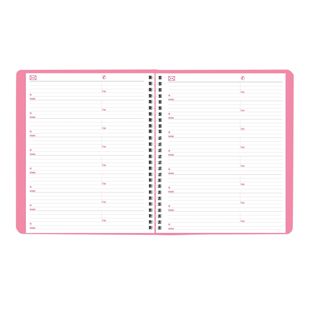Pink Monthly Planner, 2027, 14 Months CB1200G.05-27 Brownline