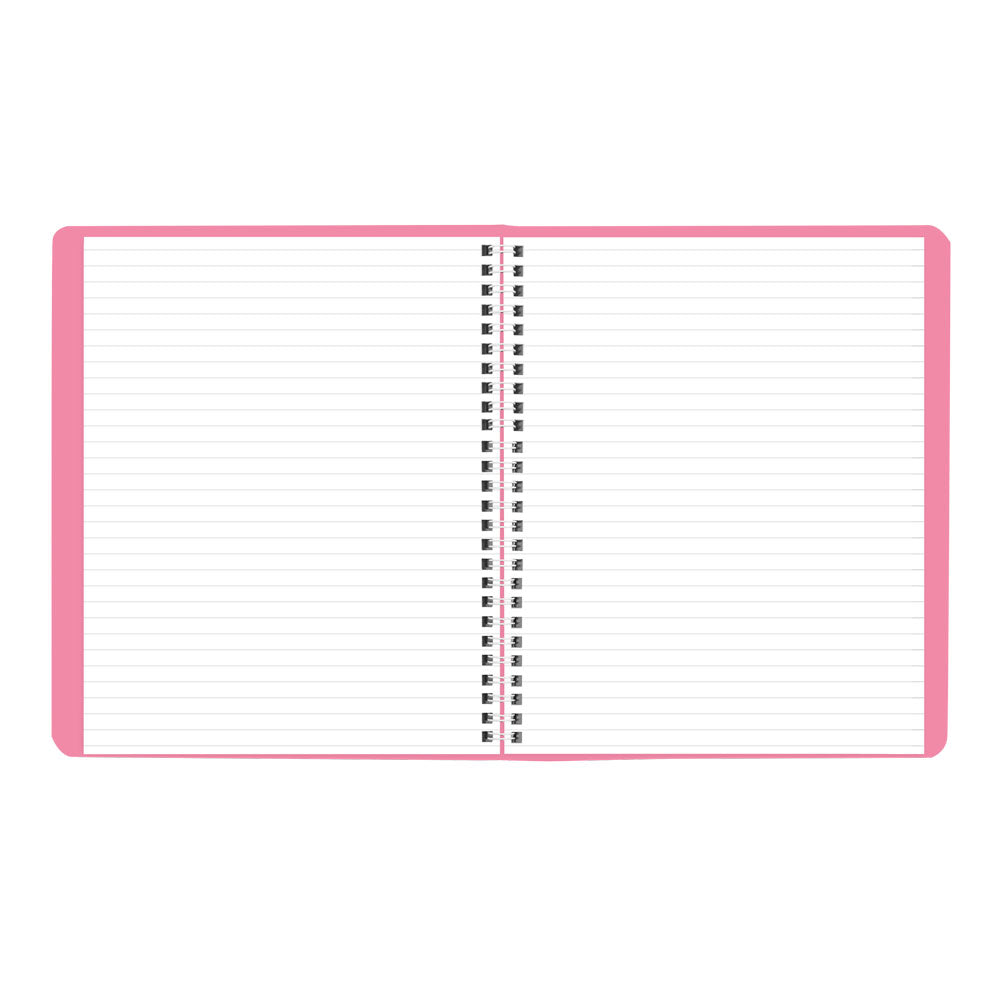 Pink Monthly Planner, 2027, 14 Months CB1200G.05-27 Brownline