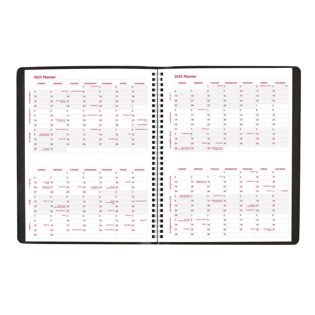 Essential Monthly Planner 2025, English, Black, CB1262.BLK