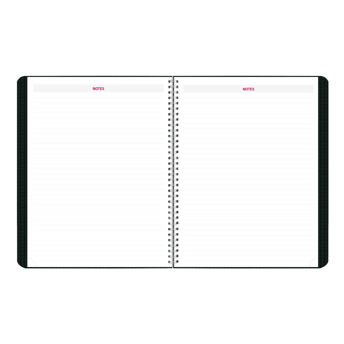 Duraflex Monthly Planner 2025, English (CB1262V.BLK-25)