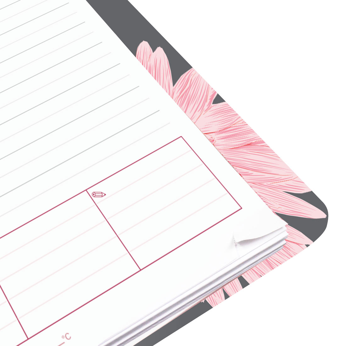 Brownline Pink Daisy Daily Planner, 2026 CB634G.05-26