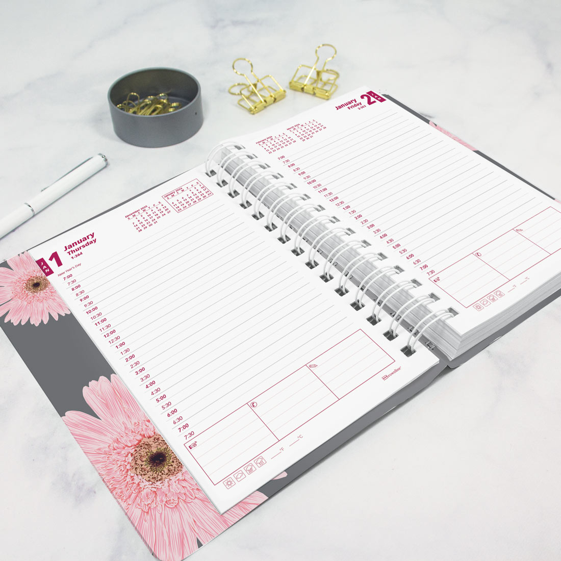 Brownline Pink Daisy Daily Planner, 2026 CB634G.05-26