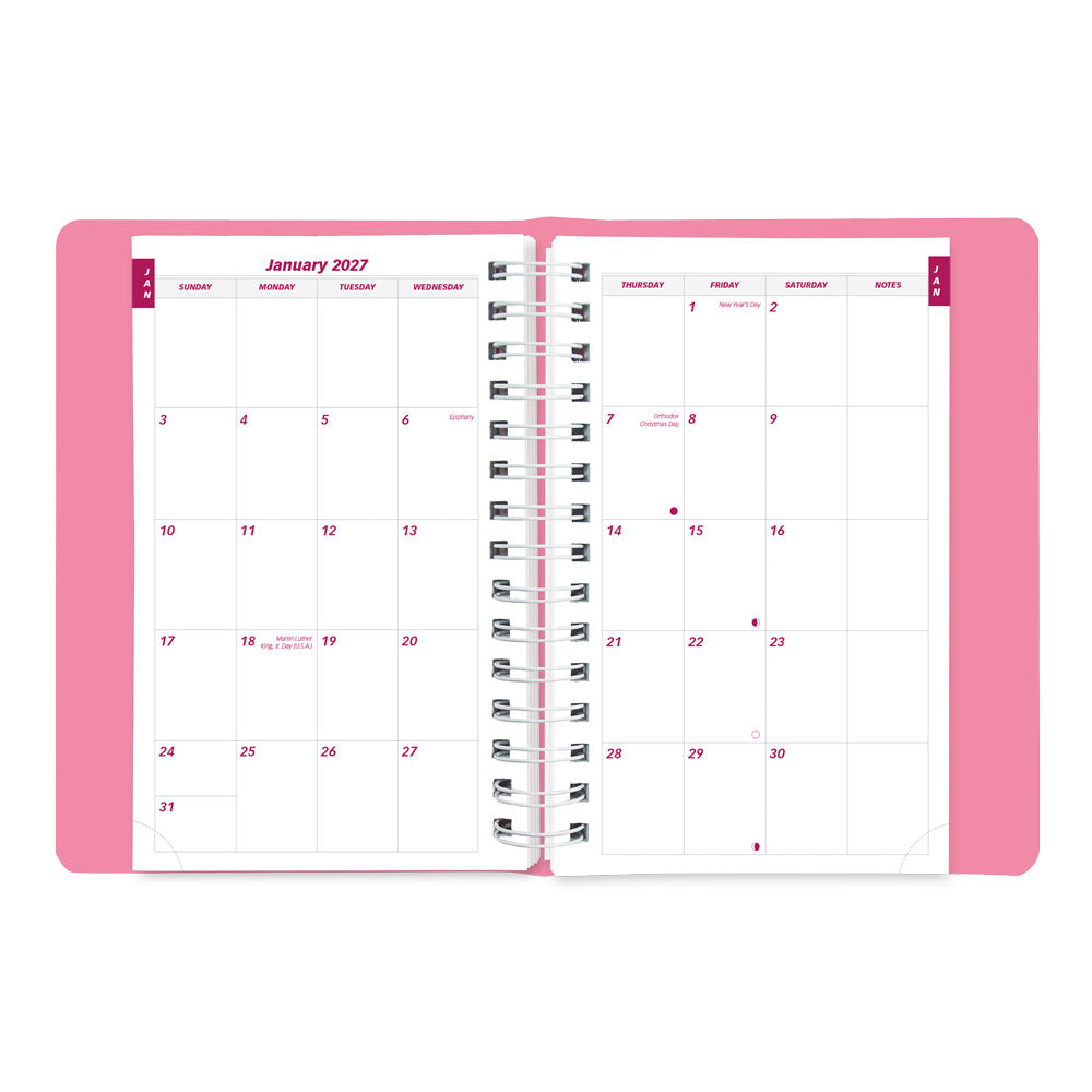 Pink Daily/Monthly Appointment Book, 2027, Pink CB634G.05-27 Brownline