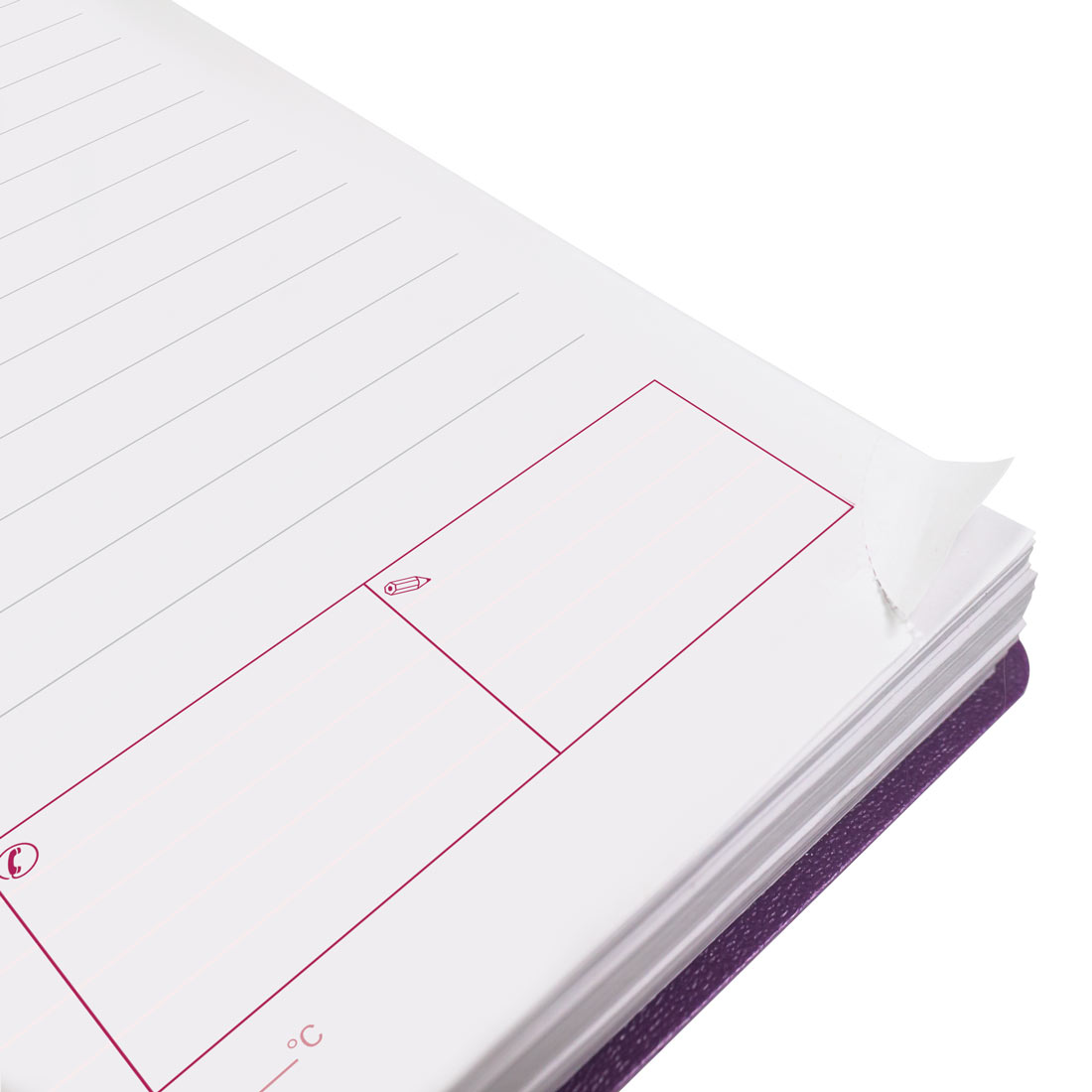 Brownline DuraFlex Daily Planner, 2026 CB634V.BLK-25, CB634V.PUR-25, CB634V.RAS-25 #color_purple