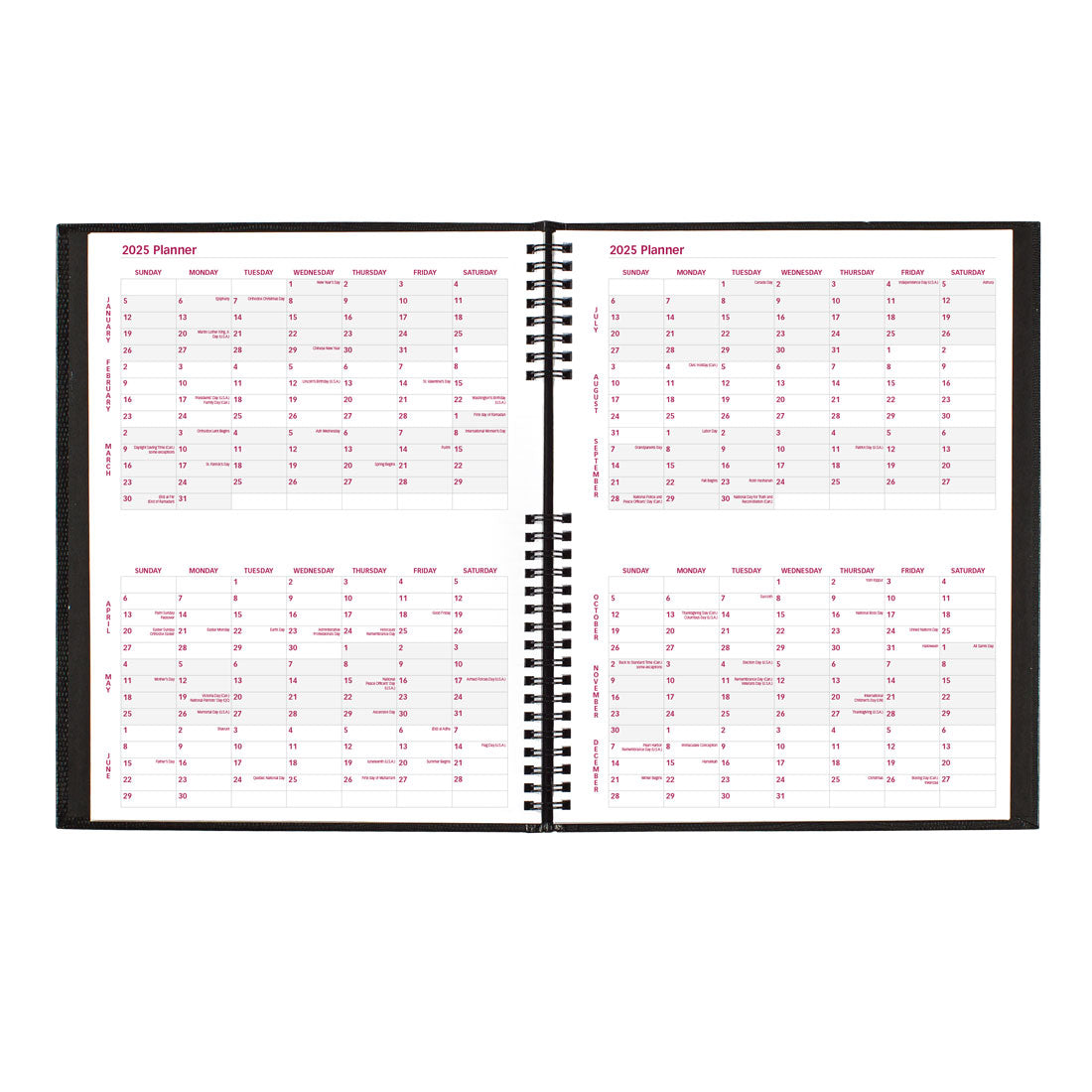 CoilPro Weekly Appointment Book 2025, English, CB950C.BLK#color_black