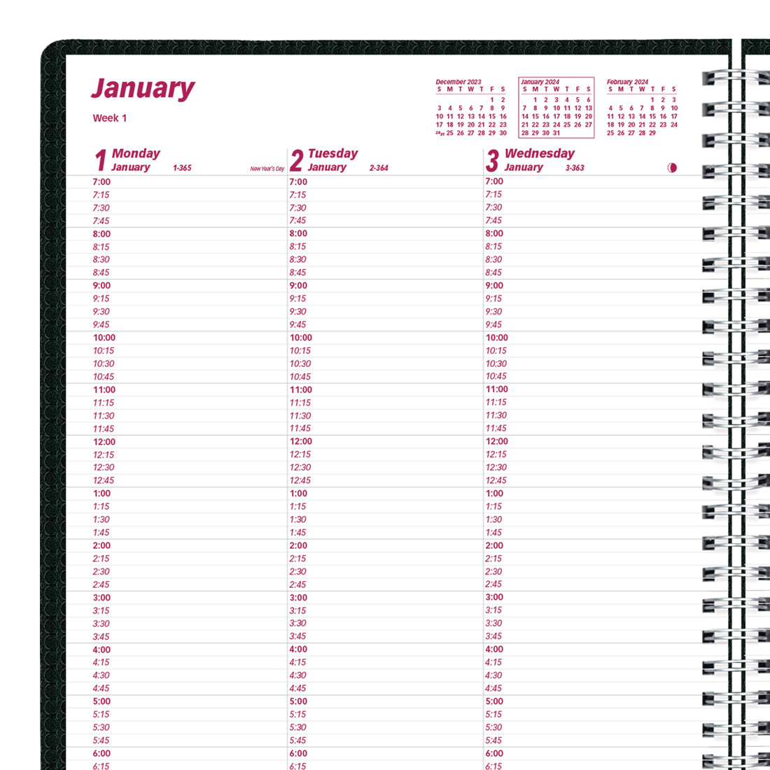 DuraFlex Weekly Appointment Book 2024#color_black