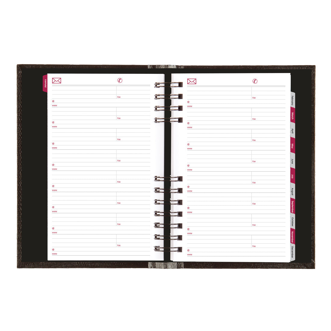 CoilPro Daily Planner 2024#color_black